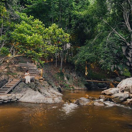 เดอะริเวอร์ แม่กำปอง The River Maekampong Chiang Mai Ban Pok Nai 外观 照片